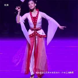 古典舞演出服女望千年剧目舞蹈服古风汉唐舞服装成人飘逸艺考