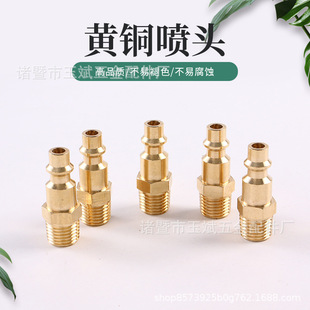 �S�~���^ ��ʽ���ٽ��^NPT1/4��z����о���ܛ�ܽ��^