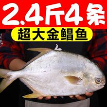 �r�D���r���K�~�����~���r�r��������K�~����ƽ�~���r���l