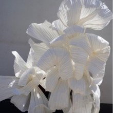 巨型纸艺装置婚礼特种纸造型美容院背景墙美陈装饰手工花