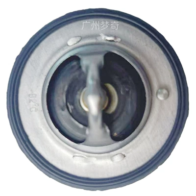Mn187250 Car Thermostat