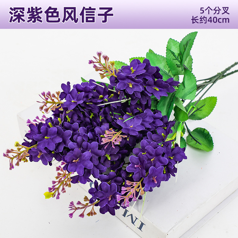 Jacinto morado oscuro