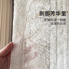 芳华纱法式轻奢浪漫新款客厅卧室阳台镂空立体刺绣透光不透人窗纱