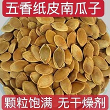 无干燥剂】新货五香味纸皮南瓜子卤味薄皮南瓜子散装休闲炒货零食