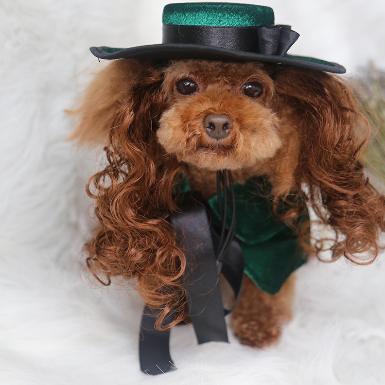 Costume di halloween per cani con mantello e cappello accessori_voghion.com