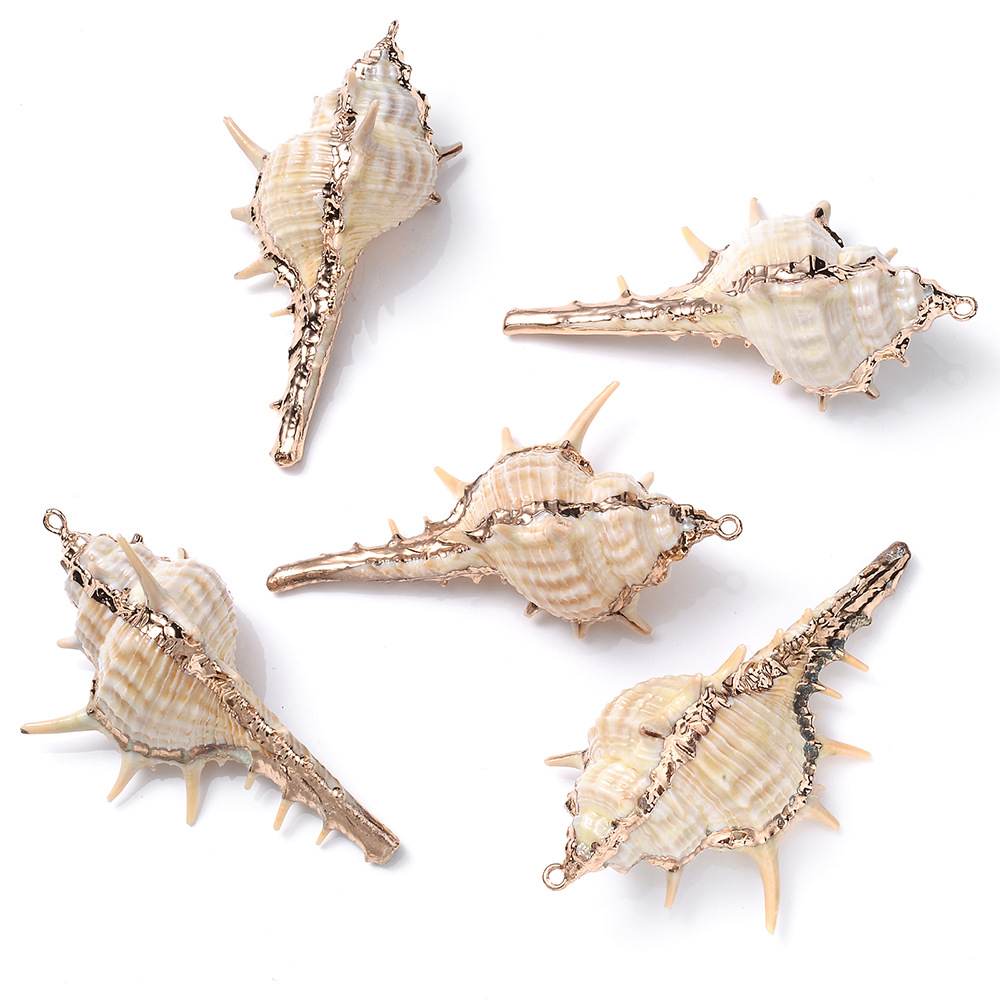 5 PCS/Package Shell Conch Shell Pendant display picture 2