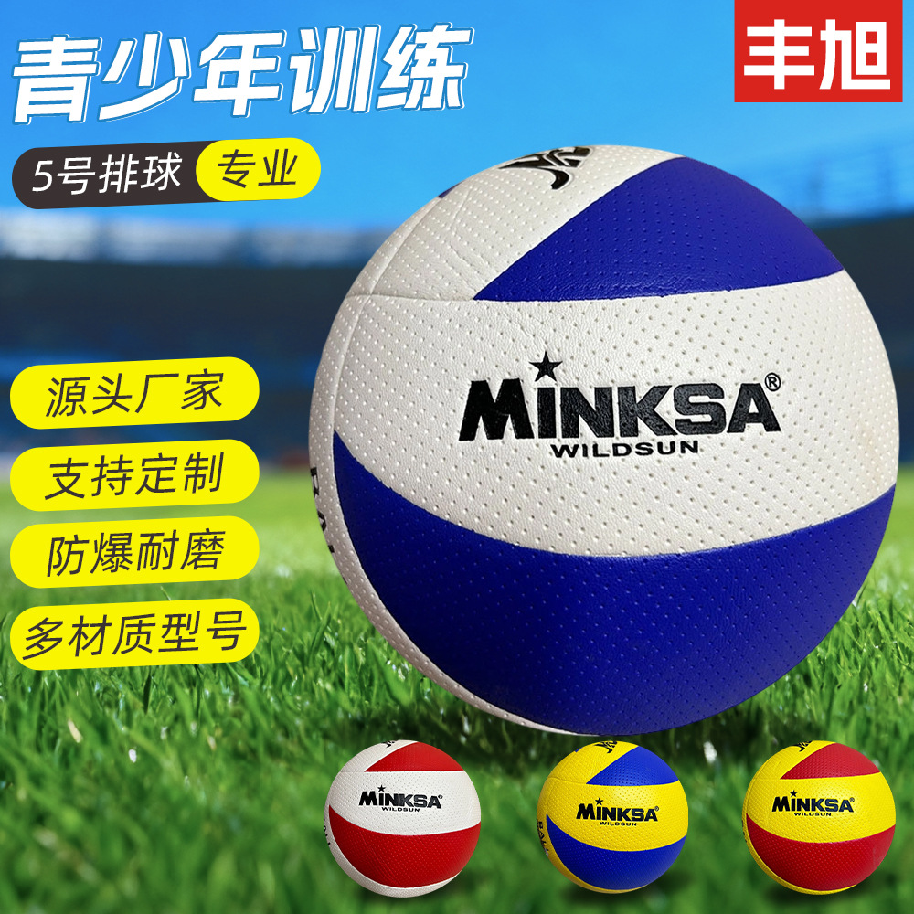 No. 5 High School Entrance Examination Special Volleyball Machine-Sewn Pvc Leather Junior High School Student Physical Examination Training Wear-Resistant Ball Beach Entertainment Ball