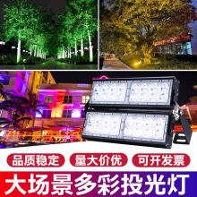 LED彩色投光灯户外防水自动变色七彩RGB园林庭院景观绿化照树灯