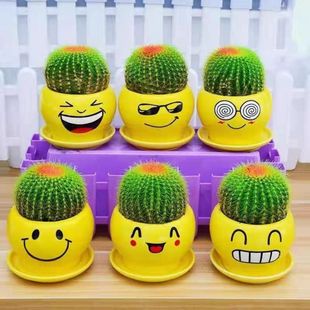 ���������������҃ȿ͏d�����������k�������B�M�϶���ֲ�ﲻ��