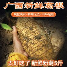 葛根新鲜广西和平粉葛无渣现挖大山野葛薯广东煲汤解酒生5斤包邮