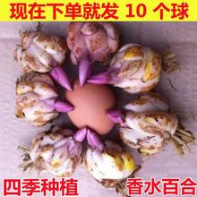 �ٺϷN����ˮ�ٺϻ��N��ѿ����ٺϷN�ӻ���ֲ���҃����Զ�����