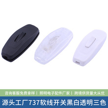 303zܛ_P 737ڰ͸Į؟o_P