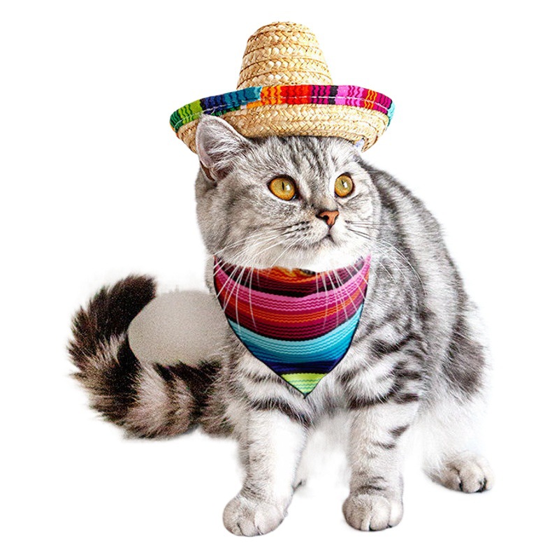 Joyería para mascotas popular mascota gato perro Sombrero estilo mexicano mascota gato perro saliva toalla