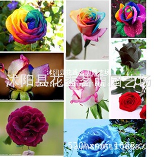 GK�tõ�廨�N�� �Gֲ���Ի����r���N�����Ե����ļ��N��õ��N200