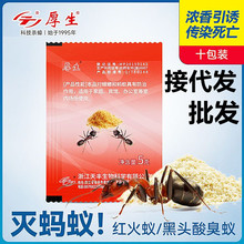 蚂蚁药家用室全窝一锅端户外防治清除杀灭黑白红火蚂蚁神器