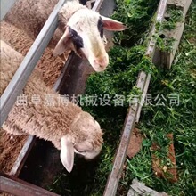 牛羊青草玉米秸秆粉碎机 新型分体铡草机揉丝一体机出口越南