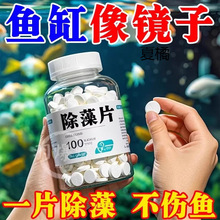 ~׳儩ȥ̦̦ȥGˮGzǌ