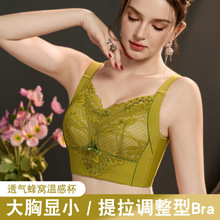 �����{���̓����ո���Ů�۔n�o�Ȧ���´��ٽz����U������������