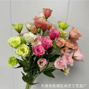 �¿���^�۹����滨����۹���c�廨�ҾӾƵ��b��ٻ��S�����l