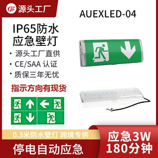 LED应急壁灯应急3W3小时0.3m三防灯出口标志灯CE认证防水IP65