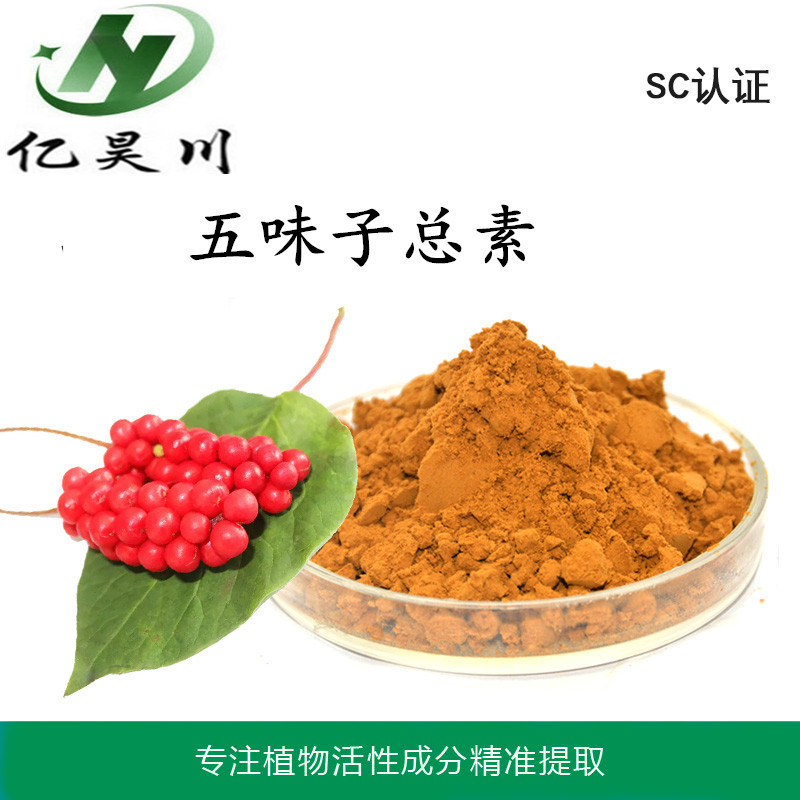五味子总素提取物1%-15% 五味子甲素乙素提取物 五味子提取物厂家