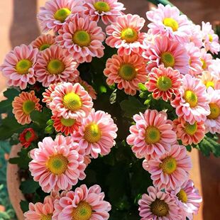 �ļ����rֱ�l�����՚���m�ջ������̨��Ʒ�ᭇС�r���҃ȈFُ
