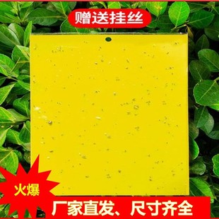 Double-Sided Sticky Insect Trap Board, Two-Color Insect Trap Board, Greenhouse Yellow Board, Blue Gardening Sticky Insect Trap, Fruit Tree Insect Prevention Board, Cross-Border Foreign Trade