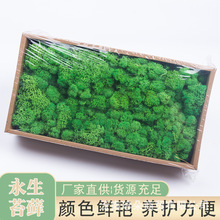 �װl�Z¹�\��̦����̦�\500���bֲ��ܛ�b�������b����յ���DIY