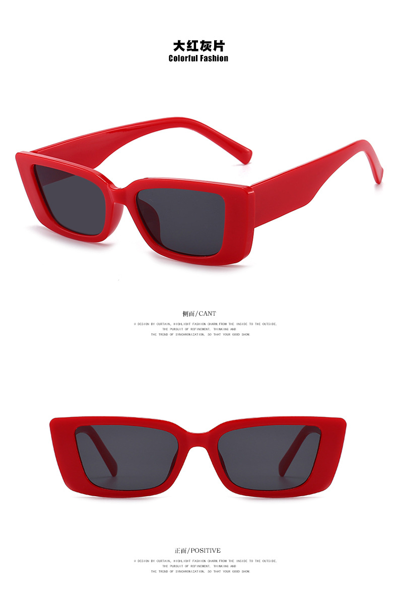 Retro Fashion Simple Style Women's Sunglasses display picture 13