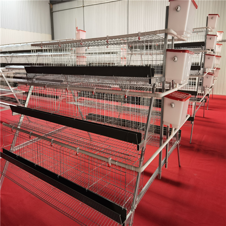 Una jaula de huevos de 4 capas de 4 puertas, una jaula de escalones tipo A, tecnología de galvanizado en frío / galvanizado en caliente, crianza de gallinas