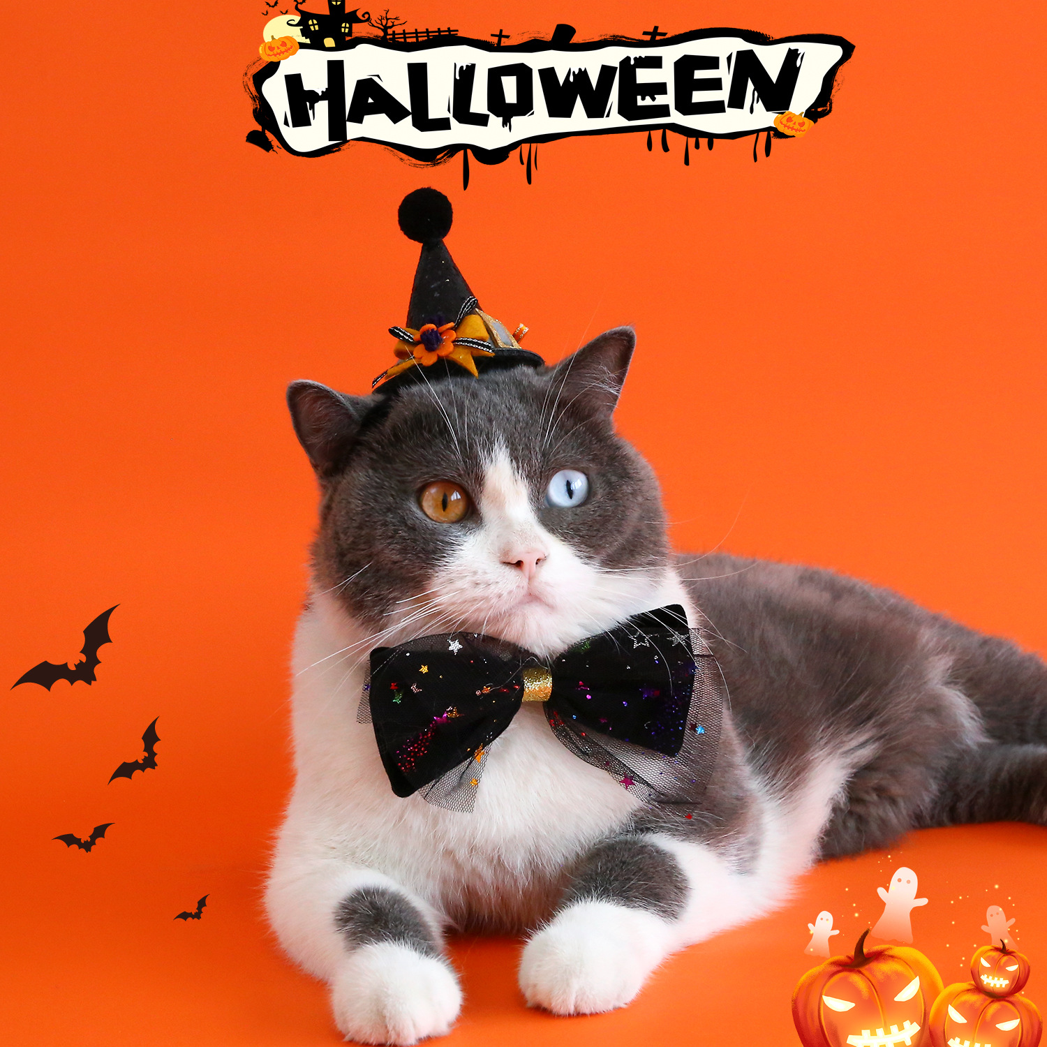 Mascota de Halloween calabaza terciopelo pajarita collar lentejuelas sombrero tocado cachorro fotografía vestido traje