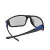 Rainbow Bridge Discolor Polarized Glasses B1906