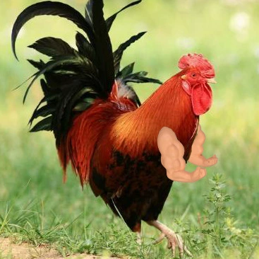 Трансграничные шалости куриная рука игрушка боевая куриная мышца рука рука динозавра рука домашнее животное Коул утка рука A22