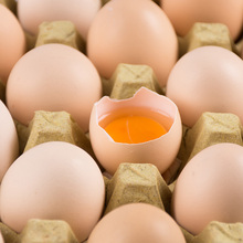 新鮮農家土雞蛋40枚散養土雞蛋放養走地雞笨草雞蛋初產蛋牢固包裝