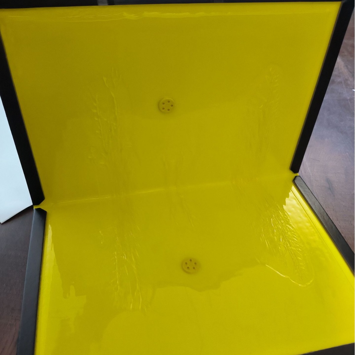 2024-07-26 08:25:30.jpg