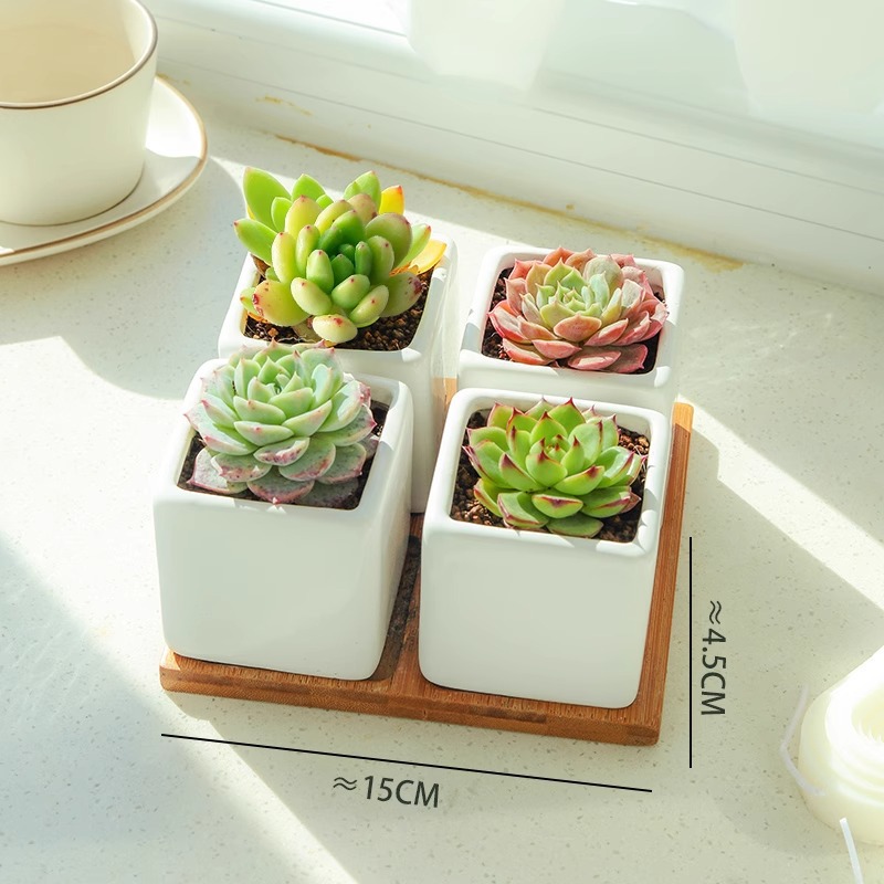 [간단] 4격자 조합 A(대야+대나무 홀더 포함)