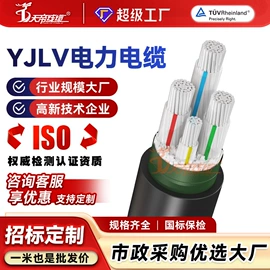 特种电缆;控制电缆;电源线