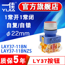 һ�Ѱ��o�_�PLAY37-11BN�ԏ�λZS���i�c�ӈA���Դ����ֹͣ22mm