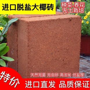 Coconut Bricks, Extra-Large Shells, Insect-Free, Vegetable and Flower Growing, Nutritious Soil, Large Pieces, Wholesale Manufacturers, Aliexpress, Amazon