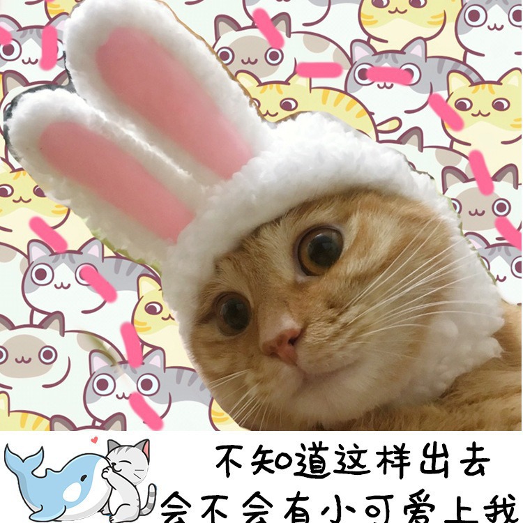 Cross-border gato sombrero lindo conejo crossdressing tapa gato tocado rendimiento accesorios divertido mascota sombrero Orejas de conejo