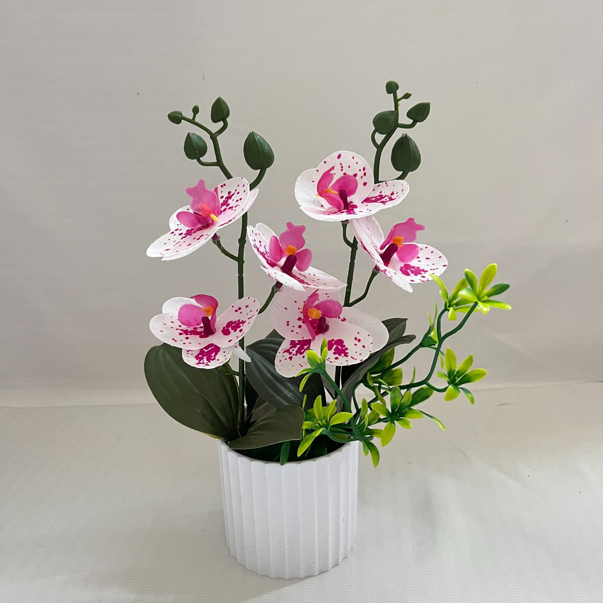 점박이 흰색 (높이 28*폭 18CM)