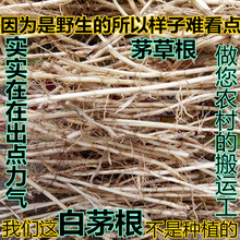 ����ɽ�F�� ���r ë�ݸ� ��é�� é�ݸ� �����J�� ����