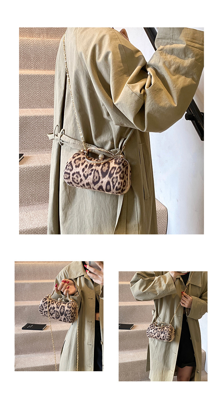 European and American style leopard print chain small square bag for women, 2024 new Korean style fashionable single-shoulder bag, flared crossbody dinner bag undefined