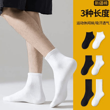 �T���m�Ӿ����������LͲ�mŮ�m��������������ɫ�ٴ�޶��m���l