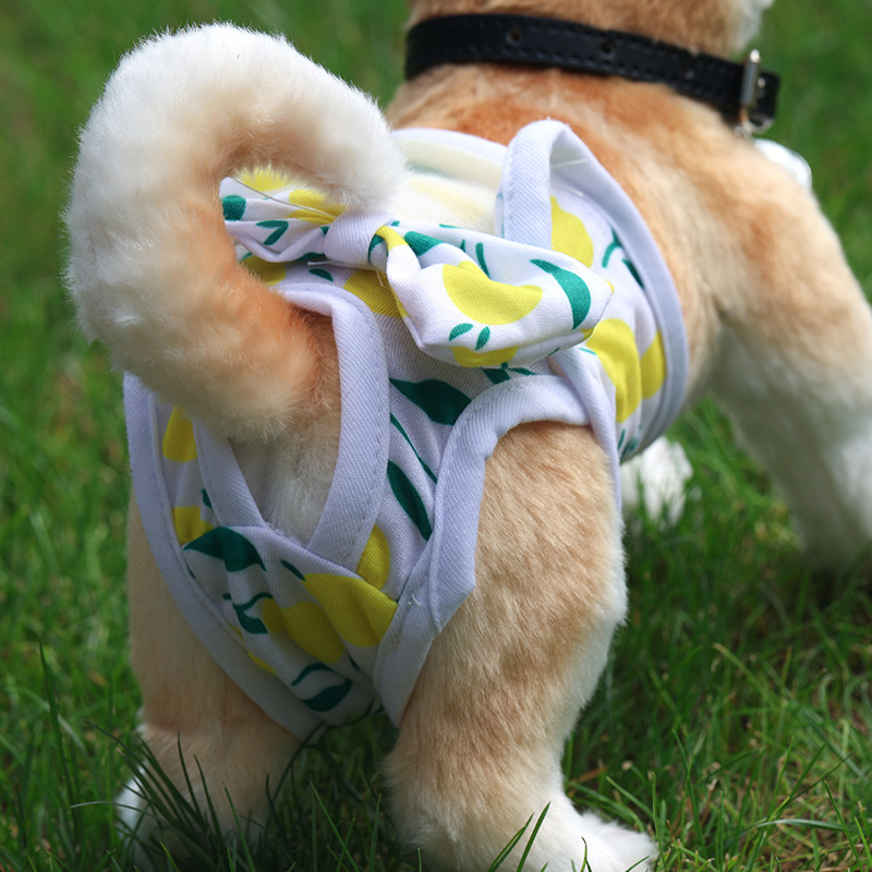 Pantalones Sanitarios Menstruales para Perras, Anti-Agresión y Seguros para Teddy, Pañales Reutilizables para el Período - Suministros para Mascotas