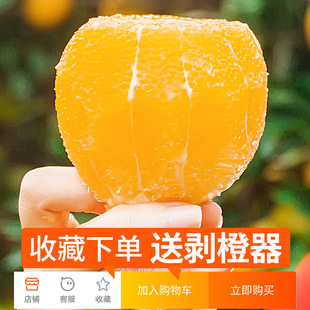 ������ں�����ꖱ��ǳ�10����]���rˮ�����Ӯ���������ք����