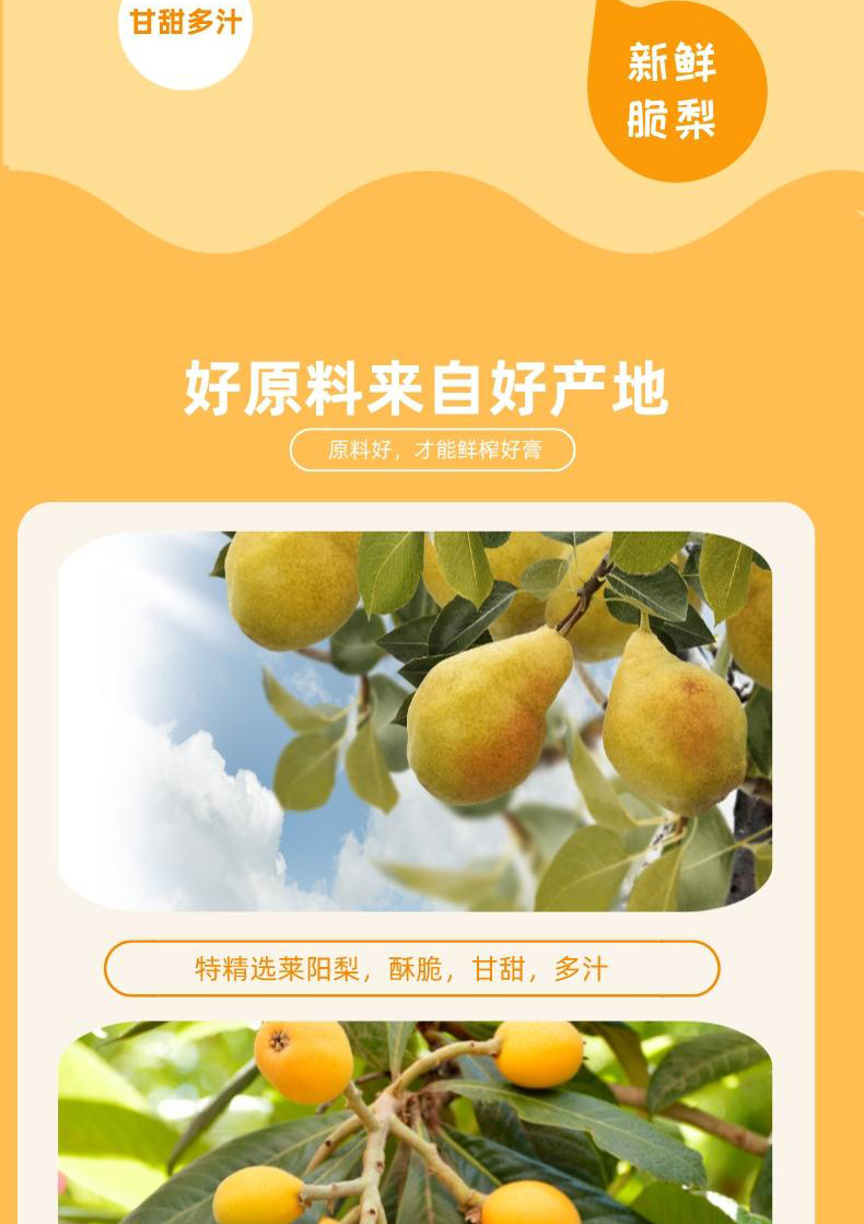 Loquat Autumn Pear Paste Pi Pa Qiu Li Gao 210g Barrel with 21 Stick Packs Ready to Drink Herbal Syrup quality and texture