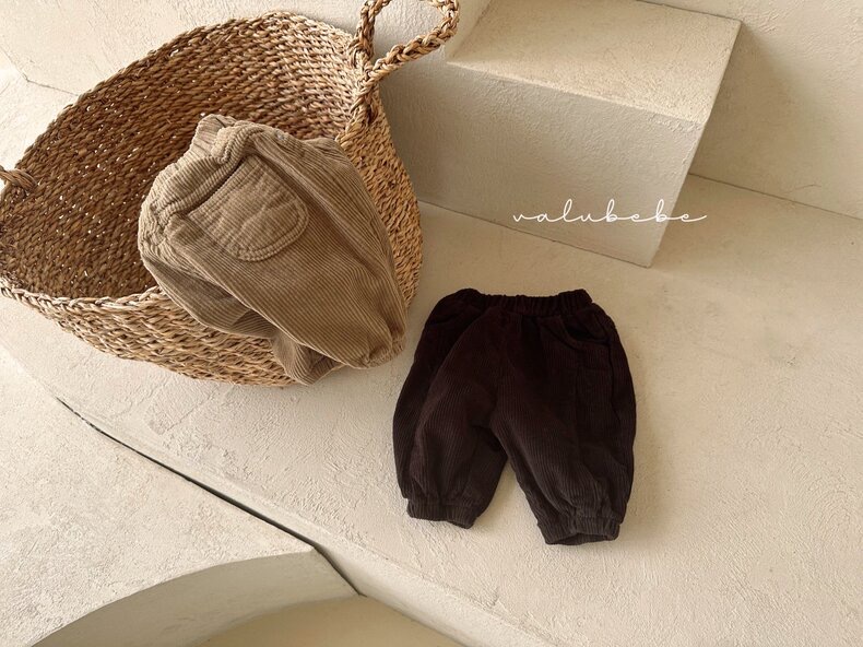 Ropa de invierno para bebés, estilo coreano, ropa infantil, invierno 2024, nueva ropa de paseo para bebés, pantalones de pana con forro polar para bebés