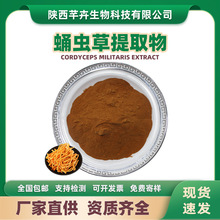 蛹虫草提取物水溶蛹虫草粉蛹虫草子实体提取虫草花提取物虫草花粉