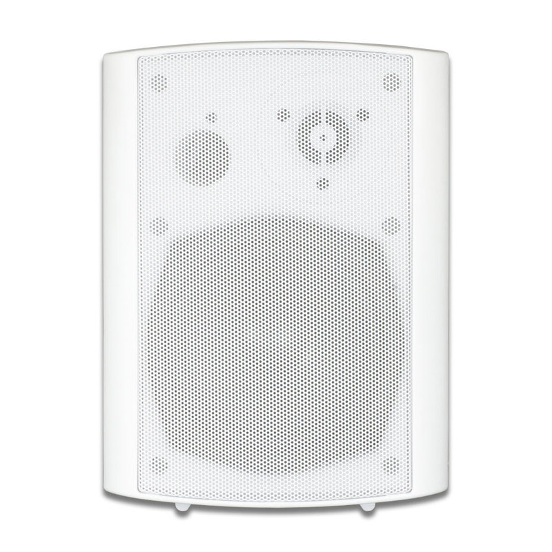 Teana Bluetooth Wall-Mounted Active Speaker Wireless USB Disk Audio Shop Stereo Set Wiring-Free Tl-A5Bt